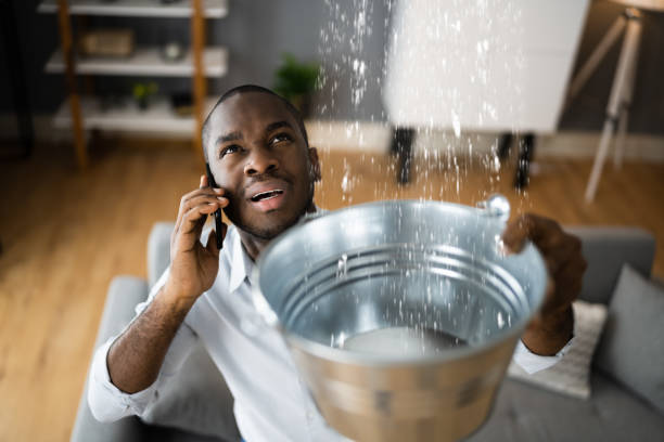 Best Water damage contractors near me  in New Berlin, WI