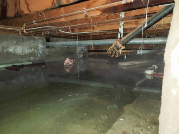 Best Water damage restoration near me  in New Berlin, WI