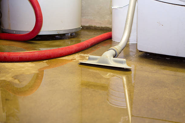 Water damage restoration mold remediation in WI