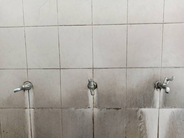 Best Water damage restoration near me  in New Berlin, WI